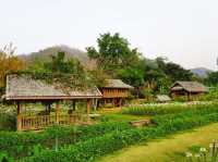 🌾 Lhongkhao Samoeng หลองข้าวสะเมิง 