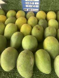 Travel to Perlis to Eat Expensive Harum Manis Mango in Malaysia