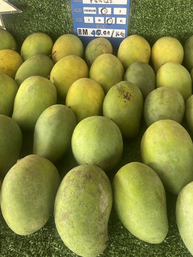 Travel to Perlis to Eat Expensive Harum Manis Mango in Malaysia