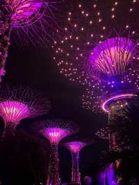 An Iconic Landmark💥SUPERTREE💥Grove @Singapore