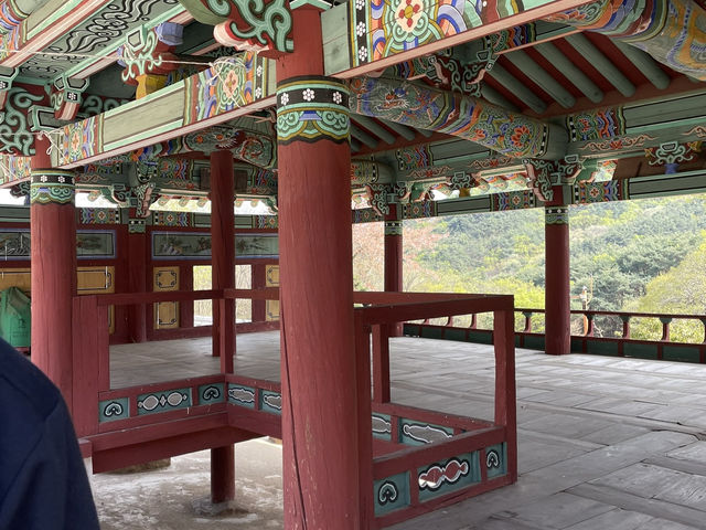 곧 다가오는 겹벚꽃 시즌에 딱 좋은 데이트코스 환성사