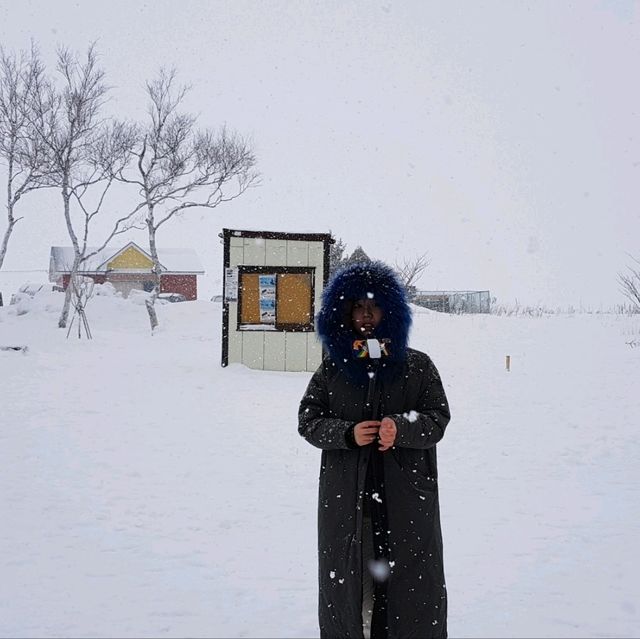 누가 뭐래도 삿포로는 눈 오는 겨울에 가야 제 맛!!!