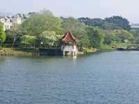 龍潭大池踩船賞美景