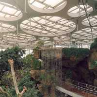 Shanghai Greenhouse Garden
