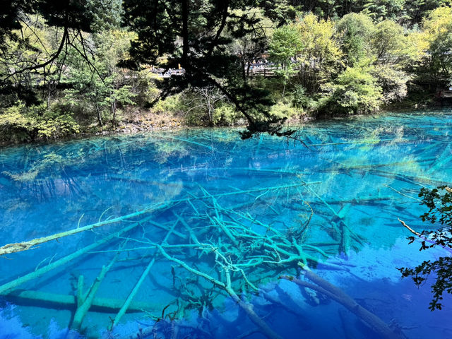 A Dream in Color: Reflections After Visiting Jiuzhaigou 