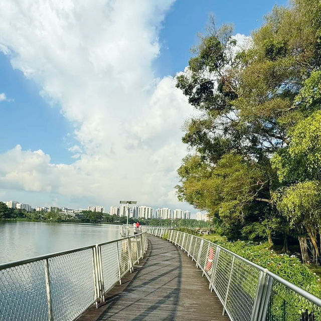 Nature’s Hidden Gem: A Stroll Through Jurong Lake Gardens 🇸🇬