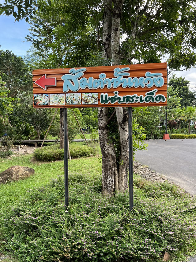 แวะเล่นน้ำตกนครนายก