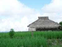 นาขั้นบันไดของไทยที่สวยงามไม่แพ้ที่ไหน