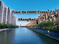 Tian An 1000 Trees @ เซี่ยงไฮ้