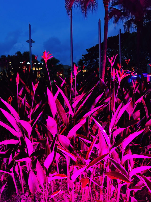 Hidden in Bloom – A Secret Garden Escape in Putrajaya