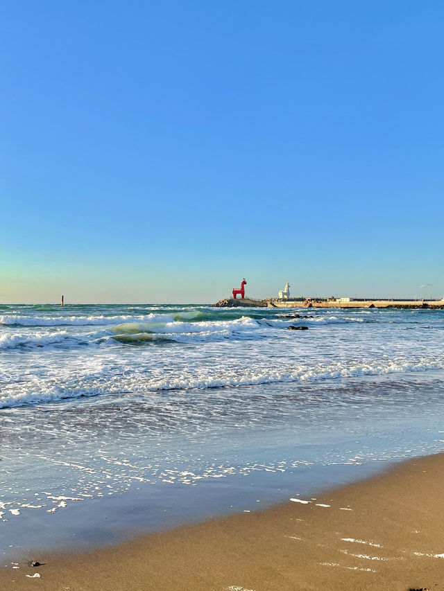 🌊 제주 여행 추천 관광지 & 인생샷 명소, 봄의 낭만!