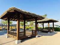 Play, Pets & Plants—Pyeongtaek Fun!