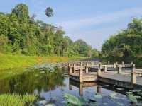 Taman Botani Batu Pahat: Where Waterfalls, Monkeys & Satay Sticks Rule the Jungle 🌿🐒