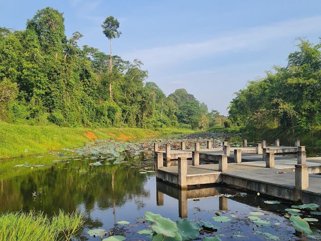 Taman Botani Batu Pahat: Where Waterfalls, Monkeys & Satay Sticks Rule the Jungle 🌿🐒