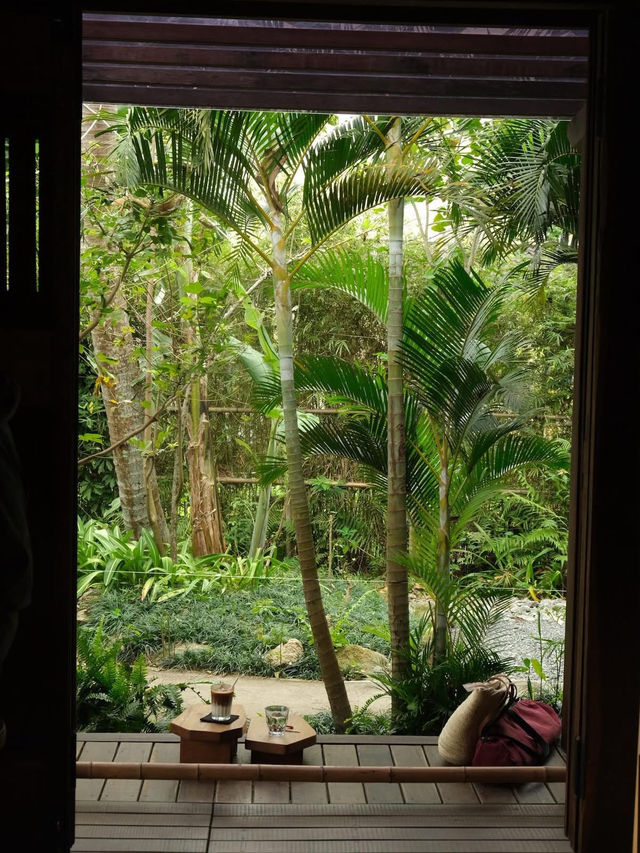 📍Slow Café, Trà Quế, Hội An