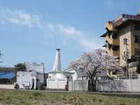 พาชมซากุระริมแม่น้ำ Oita | Yufuin