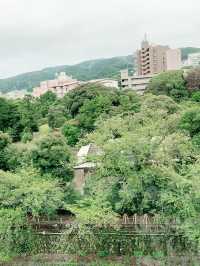【静岡🌱伊東】極楽宿✨温泉、食事、お部屋共に感動✨