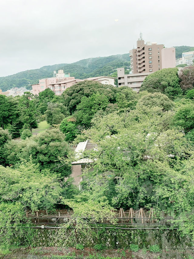 【静岡🌱伊東】極楽宿✨温泉、食事、お部屋共に感動✨