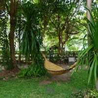 🌳 เเพียงธารา คาเฟ่ แอนด์ รีสอร์ท