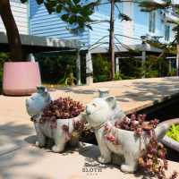 🌳 เเพียงธารา คาเฟ่ แอนด์ รีสอร์ท