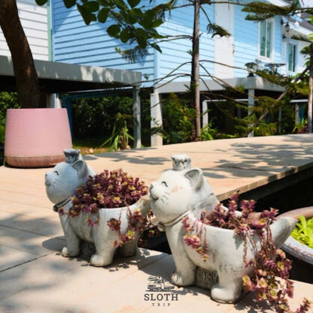 🌳 เเพียงธารา คาเฟ่ แอนด์ รีสอร์ท