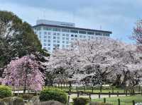 Grand Mercure Lake Biwa Resort & Spa สำหรับพักผ่อน