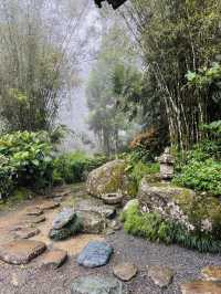 The Tatami Spa Hidden in the Forest