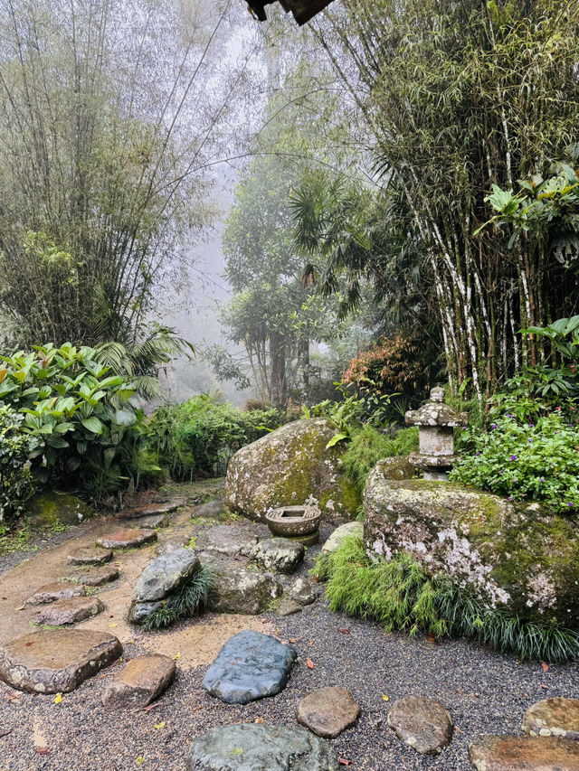 The Tatami Spa Hidden in the Forest