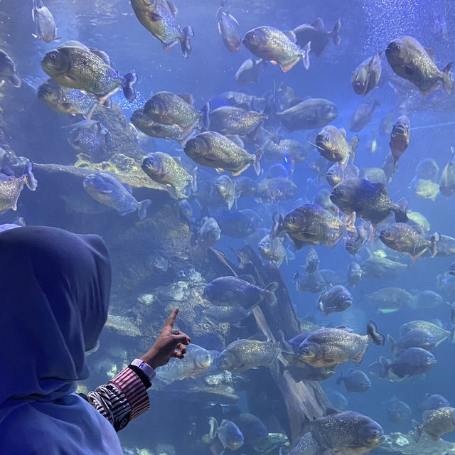 Springtime Dive Into the SeaWorld