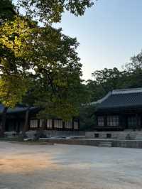 창경궁 가자!