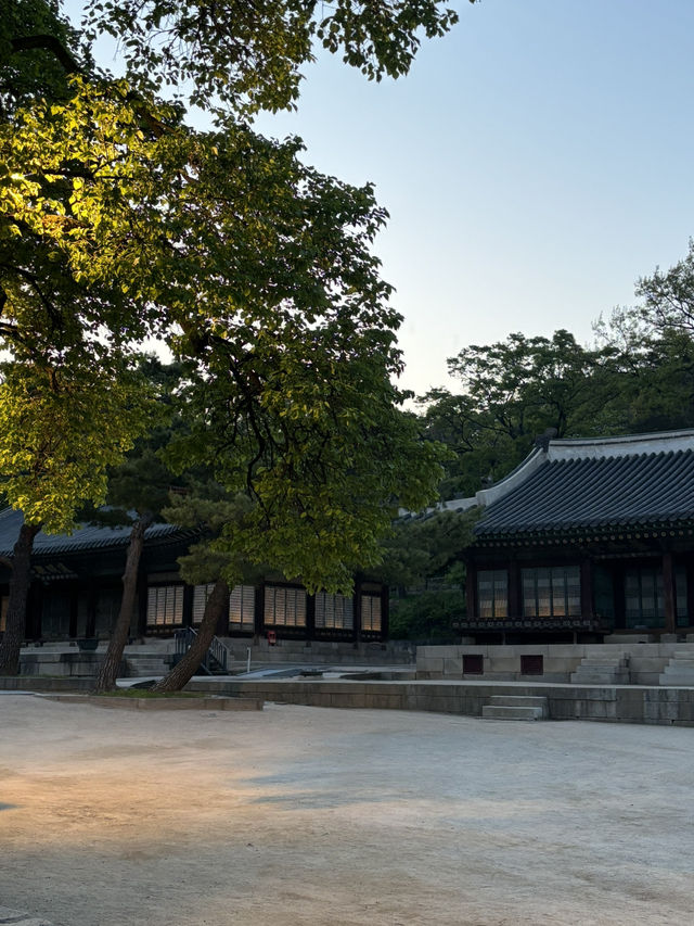 창경궁 가자!