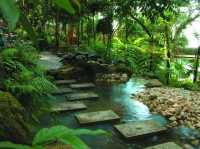 🌿 Spice Up Your Life: A Wild & Whimsical Day at Tropical Spice Garden, Penang!  