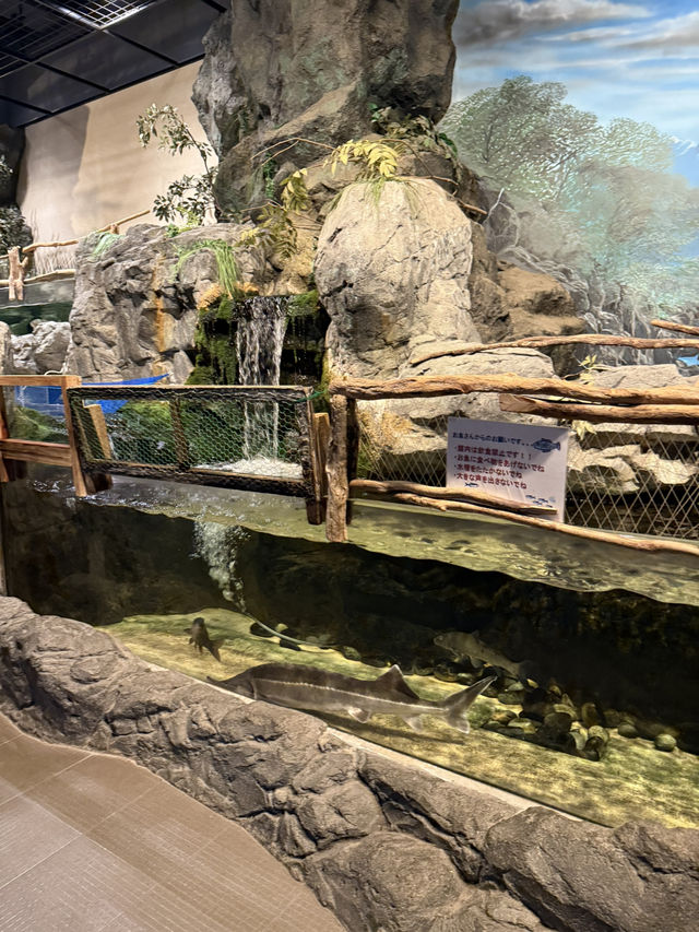 水と自然を満喫できる「道の駅 みなかみ水紀行館」—家族で楽しめる体験型スポット