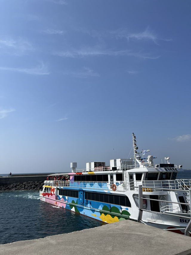 봄제주봄🌼 제주의 봄 보러오세용