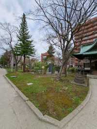 “Petal Dreams in the North: Aomori’s Sakura Symphony”