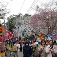 “Petals by the Lake: Sakura Reflections of Ashinoko” 