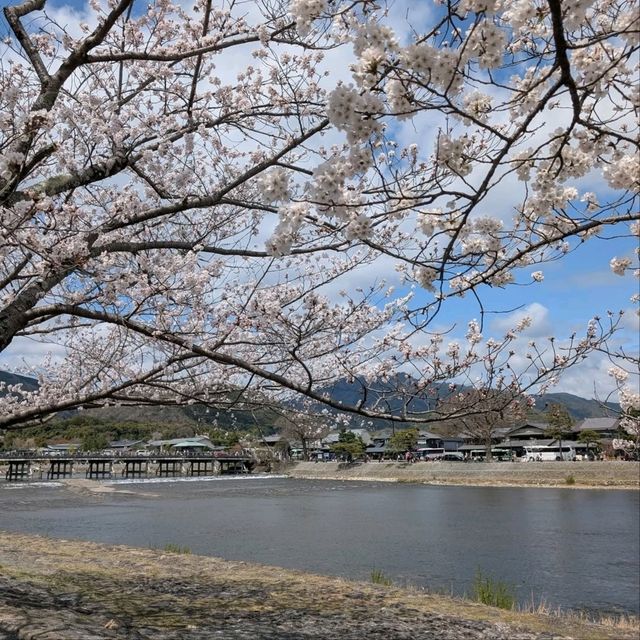 Total Spring Magic