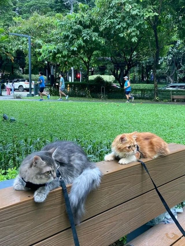 Legazpi Active Park: A Green Escape in the Heart of Makati