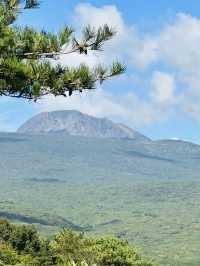A Breath of Fresh Air and Panoramic Views at Seogwipo Natural Recreational Forest