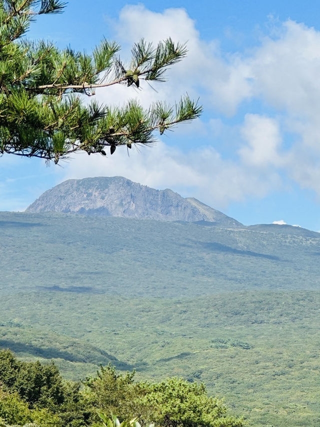 A Breath of Fresh Air and Panoramic Views at Seogwipo Natural Recreational Forest