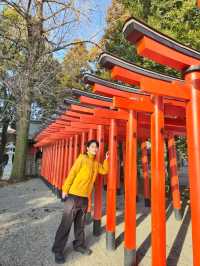「熊本的隱世庭園一一探索水前寺公園的魅力」