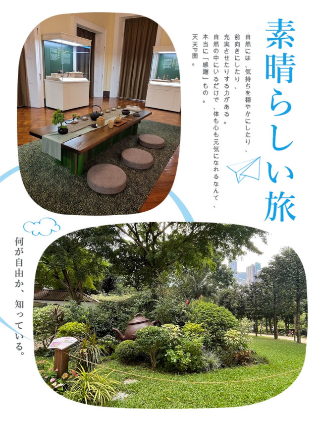 精緻嘅茶具傳統文化館❤️
