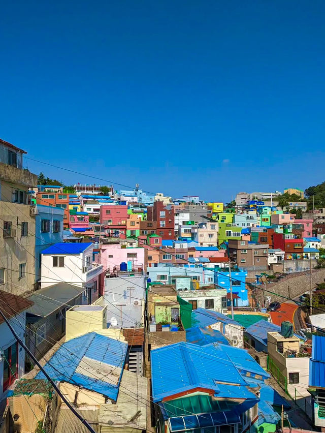 🏘️ 감천문화마을, 부산의 알록달록한 예술 마을!