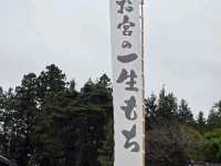 必見スポット☆盛岡八幡宮