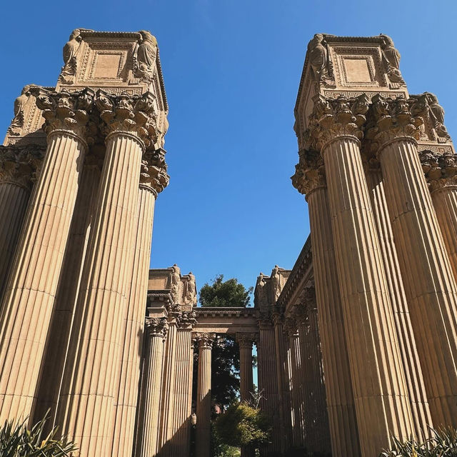 Whispers of Wonder: Wandering Among San Francisco’s Icons