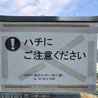 東京駅一望✴️KITTEガーデン