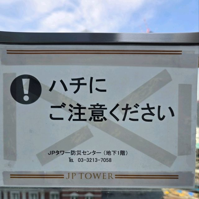 東京駅一望✴️KITTEガーデン