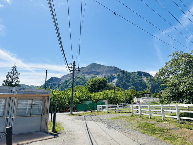 Don’t Be Fooled by the Flowers—This Park Hides a Real Adventure!