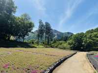 Don’t Be Fooled by the Flowers—This Park Hides a Real Adventure!