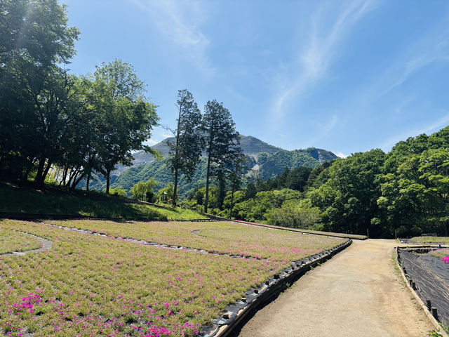 Don’t Be Fooled by the Flowers—This Park Hides a Real Adventure!